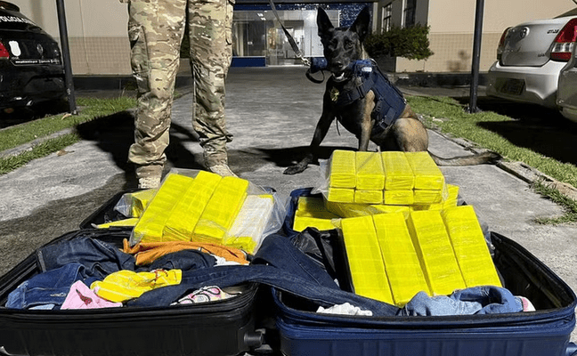 PRF apreende 50 kg de maconha em ônibus turístico em Feira de Santana