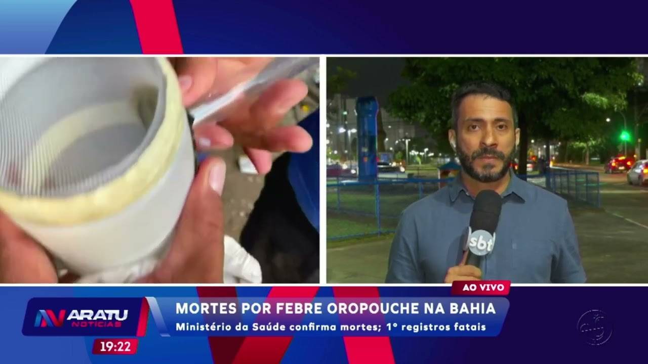 Ministério da Saúde confirma primeiras mortes de Oropouche na Bahia