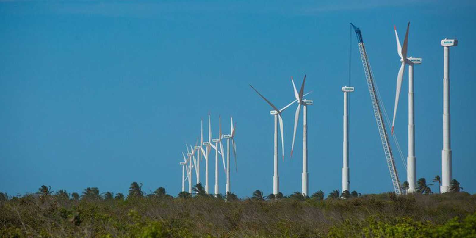 Nordeste bate novo recorde de energia eólica