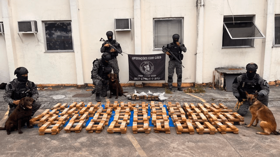 Polícia Militar do RJ apreende 1 tonelada de maconha na Maré