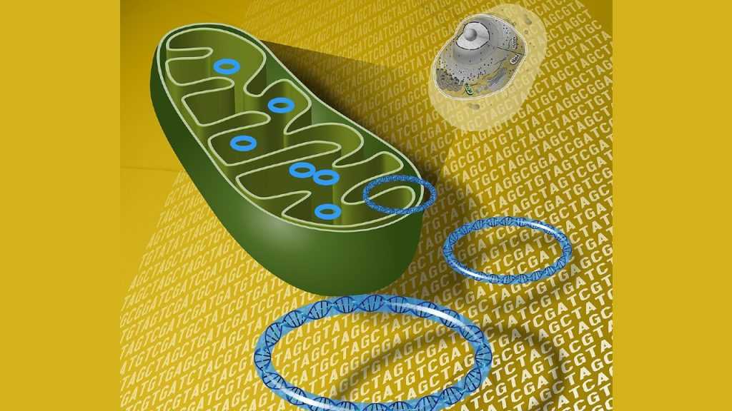 Estudo revela 51 mutações ligadas à esclerose lateral amiotrófica, auxiliando no diagnóstico