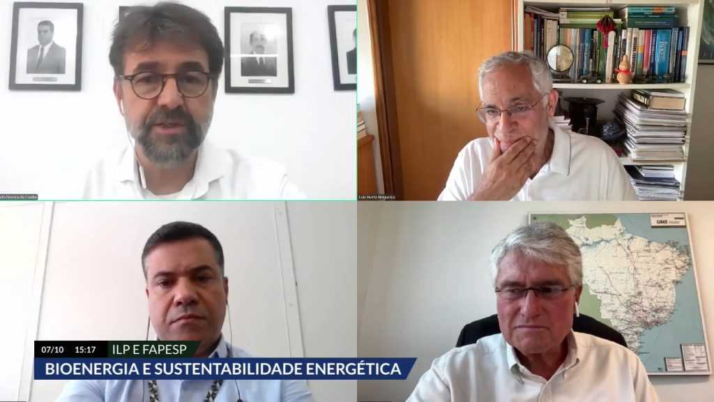 Adoção de bioenergia e eficiência energética são fundamentais para alcançar metas climáticas