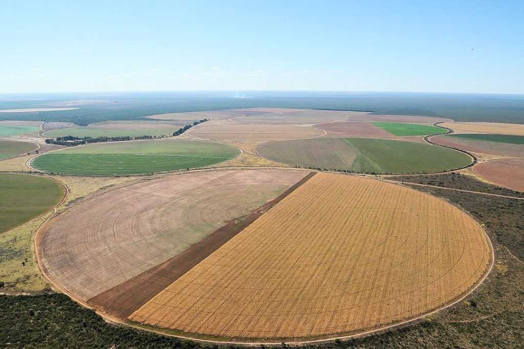 Impactos do uso excessivo de água no Matopiba: riscos para a demanda agrícola local por irrigação