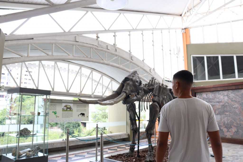 Museu Geológico da Bahia é um ótimo destino no feriado de 12 de outubro