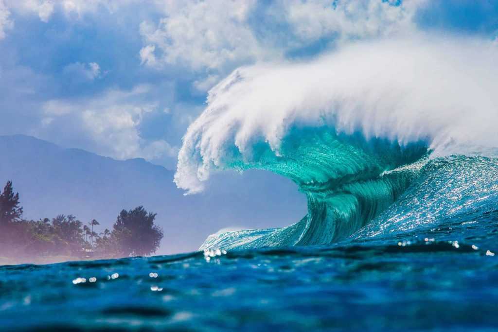 Cidade brasileira reconhece ondas como seres vivos; entenda