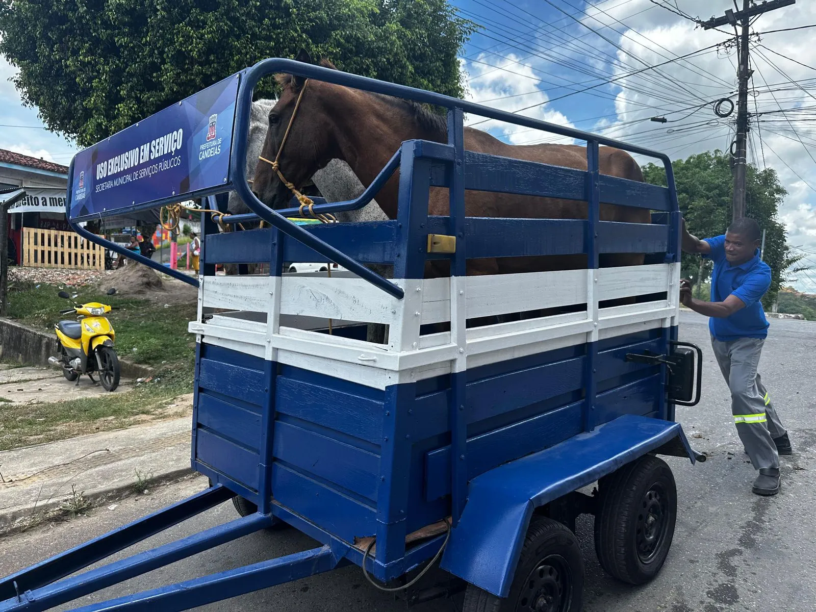 Animais soltos em Candeias são alvo de nova operação da SESP