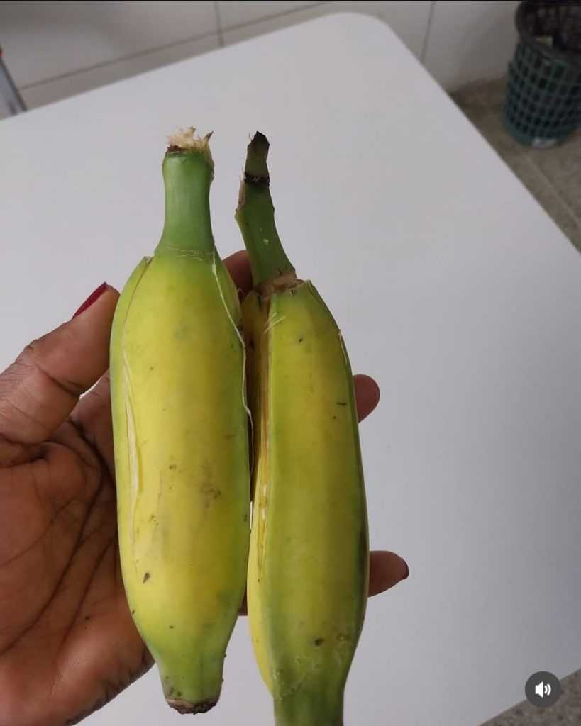 “CRIANÇAS RECEBEM BANANAS VERDES COMO MERENDA EM SÃO SEBASTIÃO DO PASSÉ: MÃES E VEREADOR DENUNCIAM DESCASO”