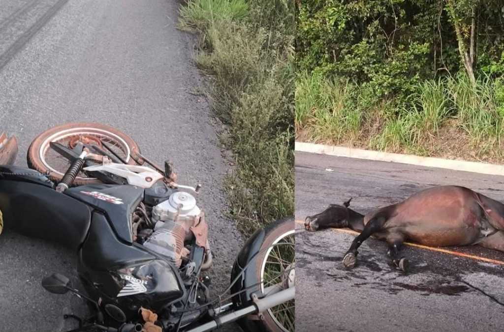 Motociclista falece em colisão com cavalo na Região Metropolitana