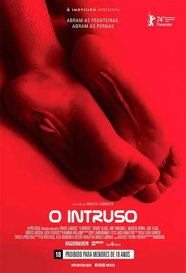 Cartaz do Filme O Intruso