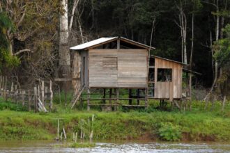 Levantamento geofísico na Amazônia Oriental: como encontrar artefatos arqueológicos com ajuda da tecnologia