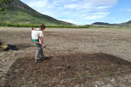 Estudo aponta que aumento da acidez do solo diminui capim invasor e promove restauração da vegetação nativa do Cerrado