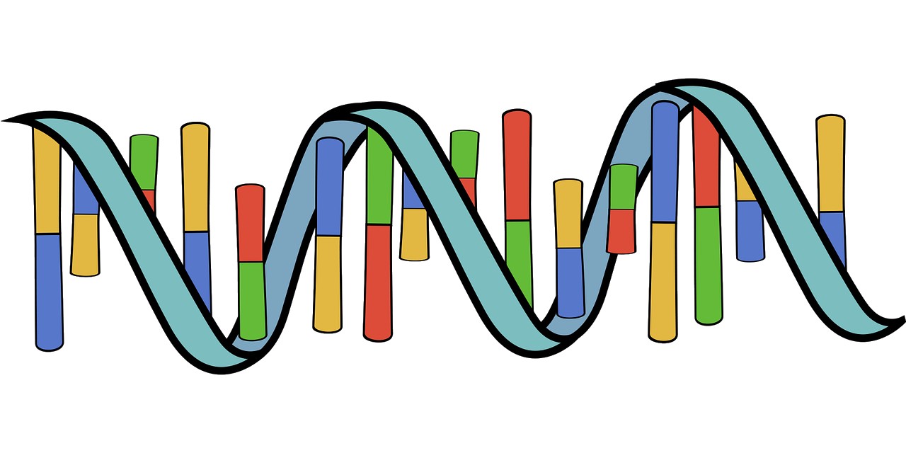 Pesquisa Identifica Genes do Córtex Cerebral Associados à Disfunção Neuronal