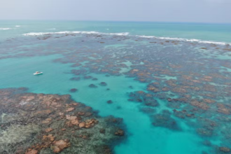 Paraíso submerso está ameaçado em estado brasileiro