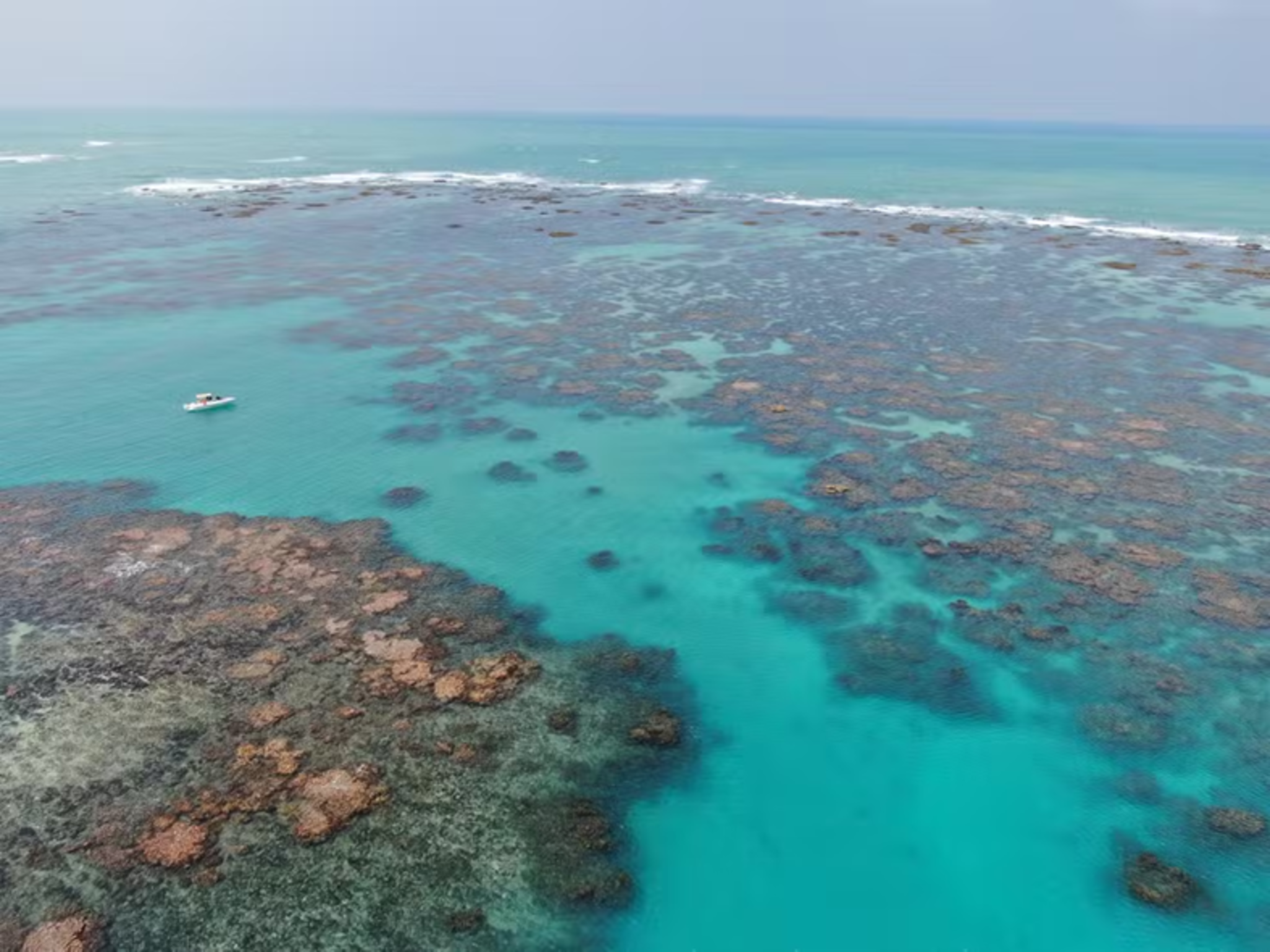 Paraíso submerso está ameaçado em estado brasileiro