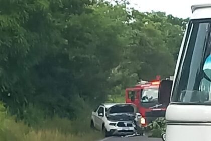 Motorista morre após colidir com cavalo em São Sebastião do Passé
