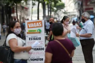 PNAD Indica Desaceleração da Economia, Alertam Especialistas