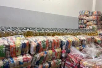 Mais de 45 mil famílias receberão alimentos arrecadados durante Madre Verão 2025